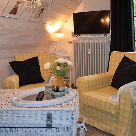 Ferienwohnung Seeblick Nr 4 2-Zimmer, Baerental, Feldberg Rotwasser Exterior foto