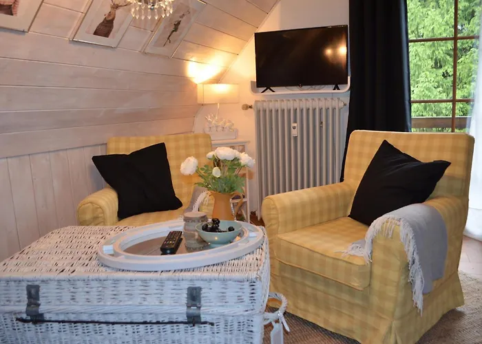 Ferienwohnung Seeblick Nr 4 2-Zimmer, Baerental, Feldberg