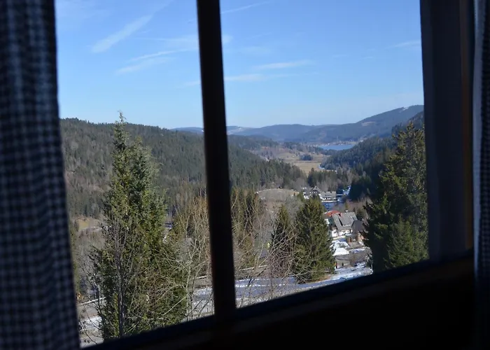 Ferienwohnung Seeblick Nr 4 2-Zimmer, Baerental, Feldberg