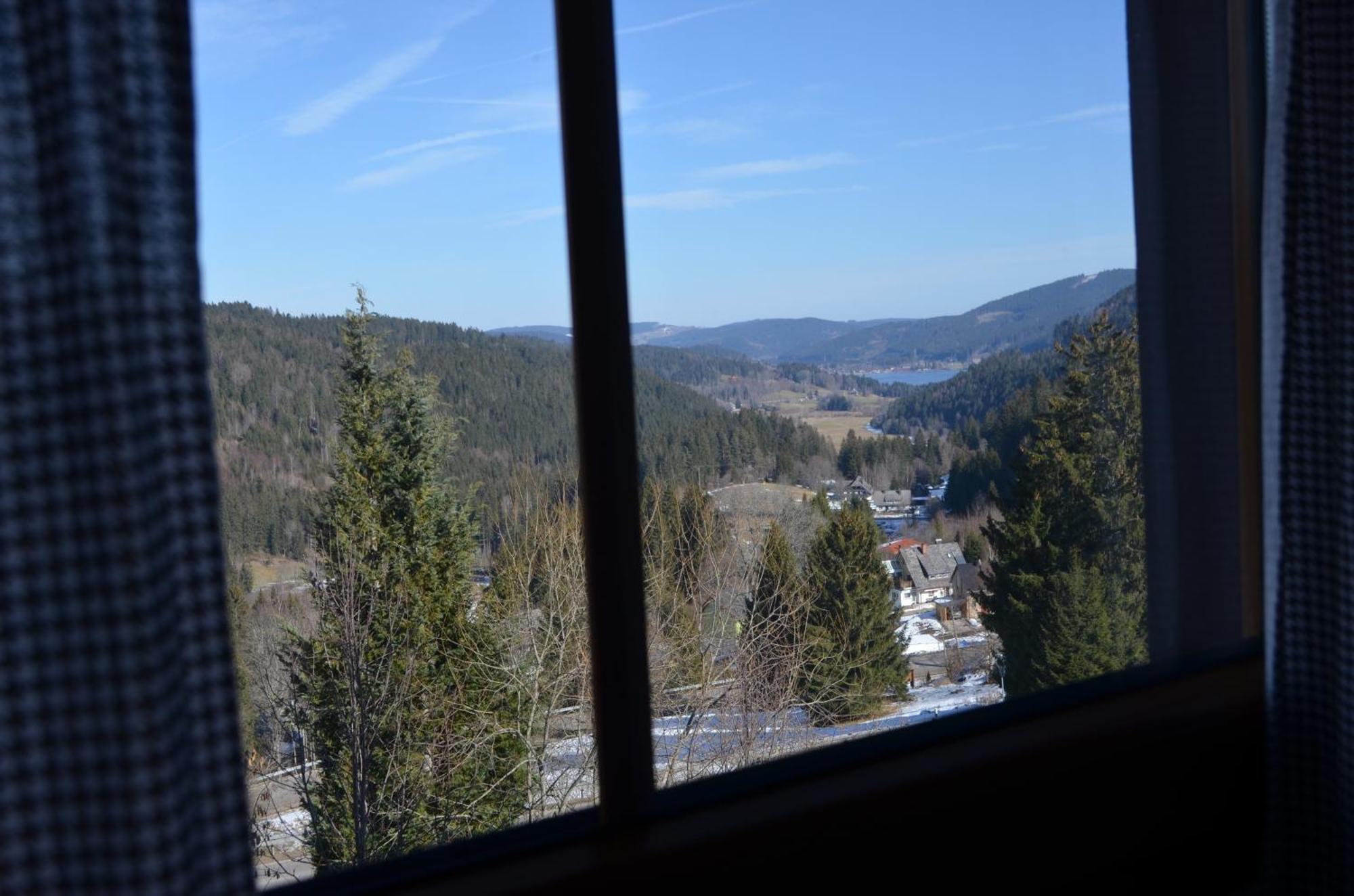 Seeblick Nr 4 2-zimmer, Baerental, Feldberg